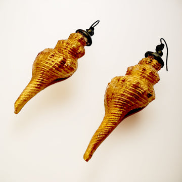 Horse Conch