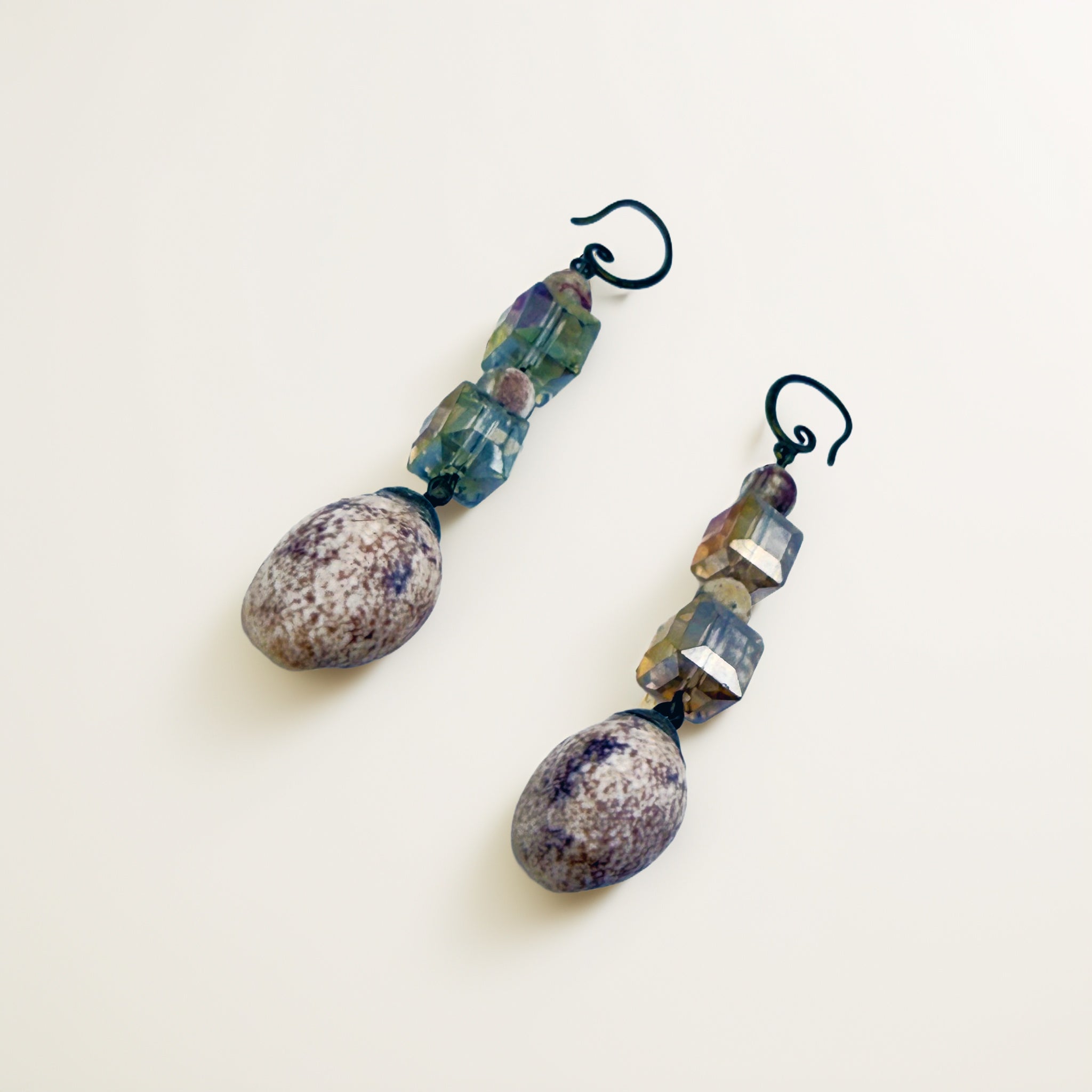 Shark's Eye Moon Shell