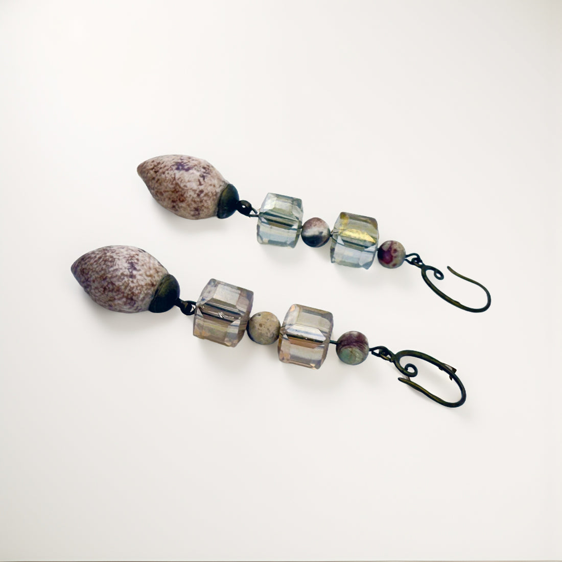 Shark's Eye Moon Shell