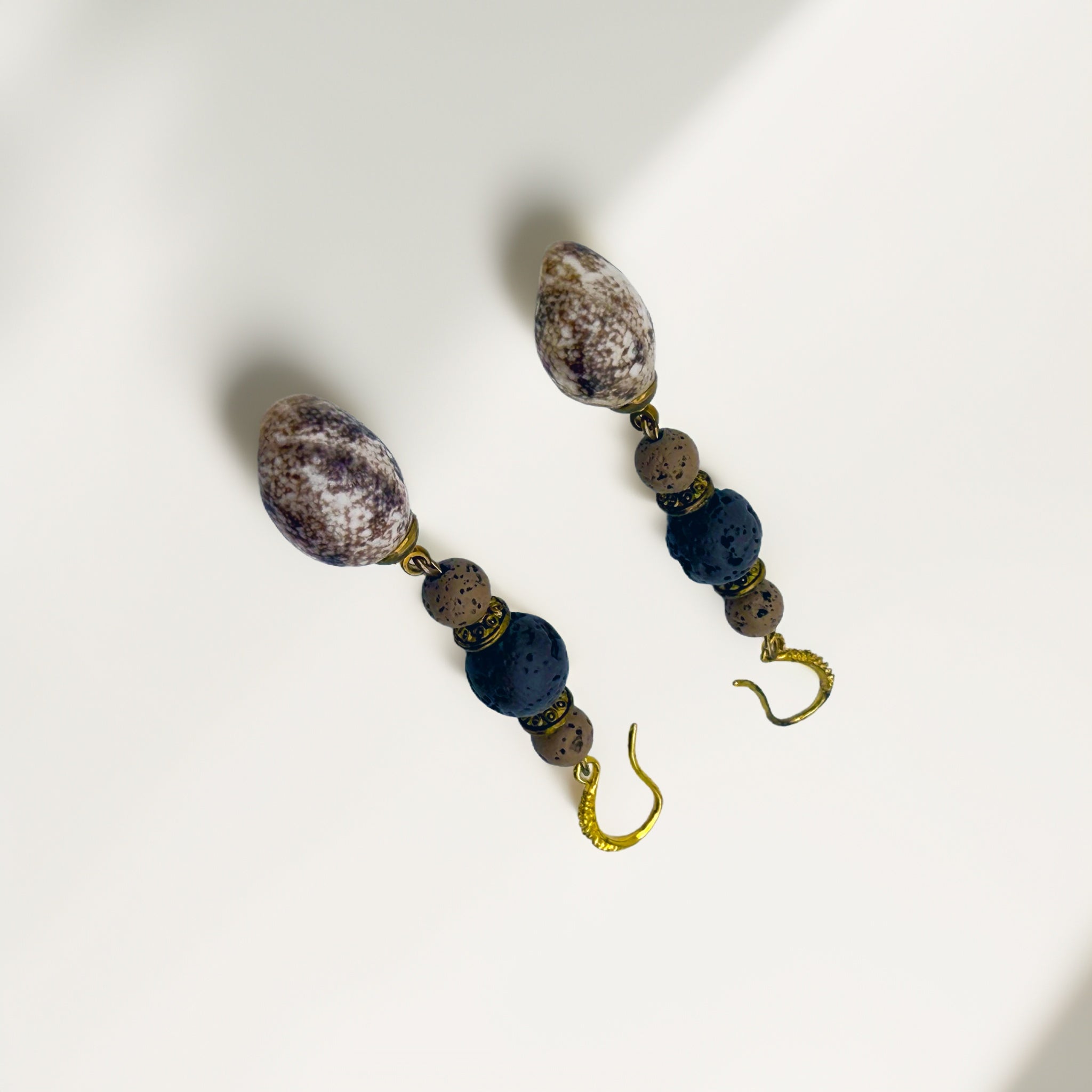 Shark's Eye Moon Shell