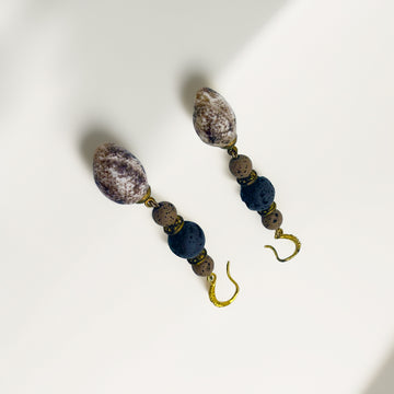 Shark's Eye Moon Shell